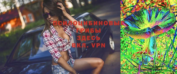 соль ск Алексин