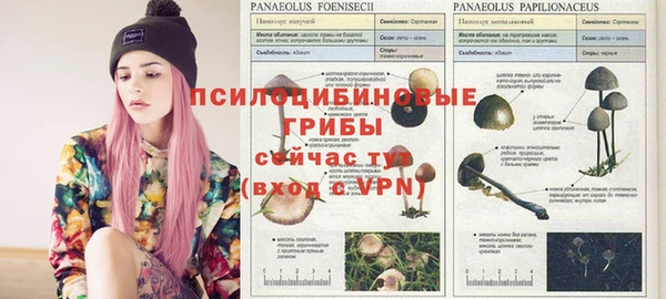 амфетамин Абаза