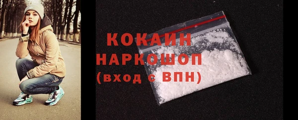 соль ск Алексин