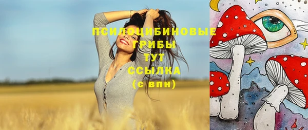 соль ск Алексин